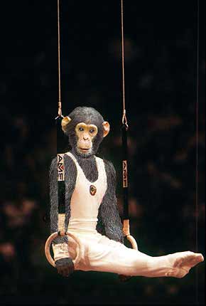 Цирковые животные обезьяны