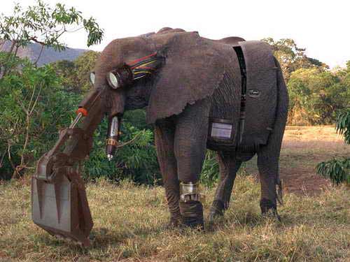 Прикольный слон эксковатор