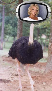 Животное страус