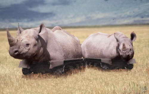 Кибер носорог